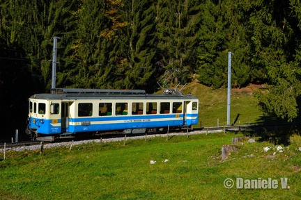DSC 4308 Remake
