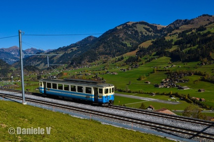DSC 4847 Remake