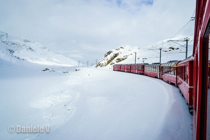 Allegra RhB
