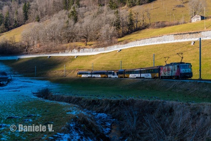 6006 + Panoramic