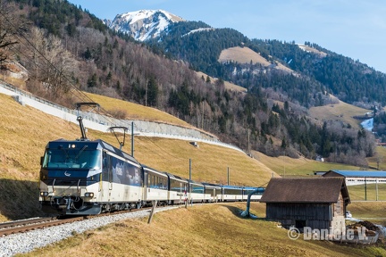 8004 + Panoramic