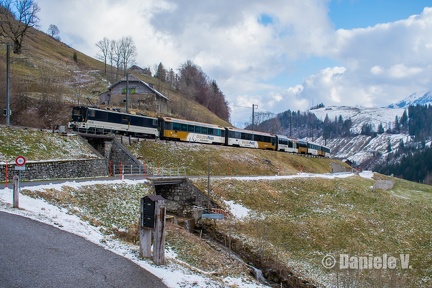 6005 + Panoramic