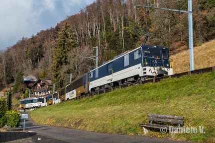 6005 + Panoramic