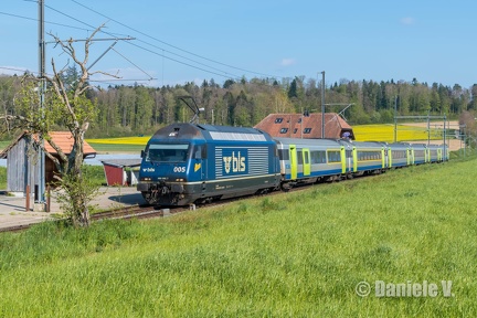 Re 465 005 + EW III