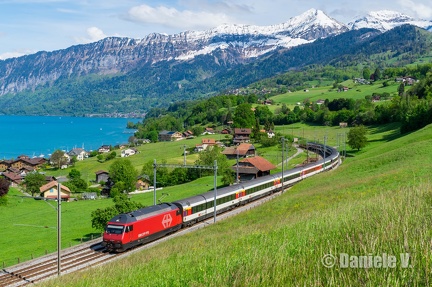Re 460 065-6 + VU IV