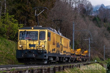 6003