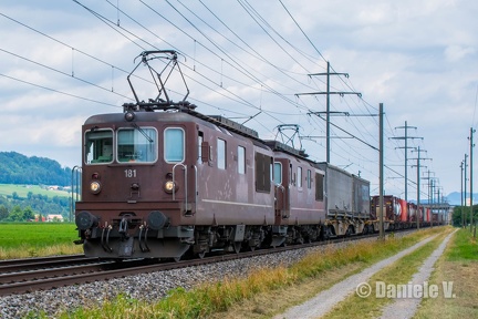 Re 425 181 et Re 425 180