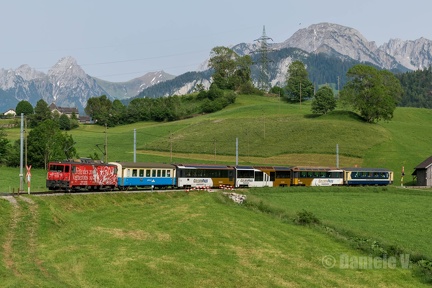 6005 + Panoramic