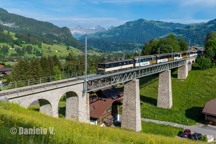 6004 + Panoramic